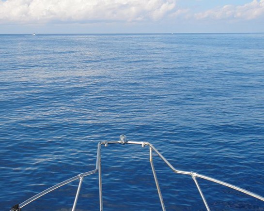 Custom Charter