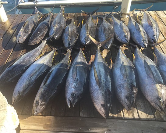 Deep Sea Fishing